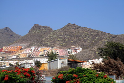 Fgur fjallasn  Tenerife